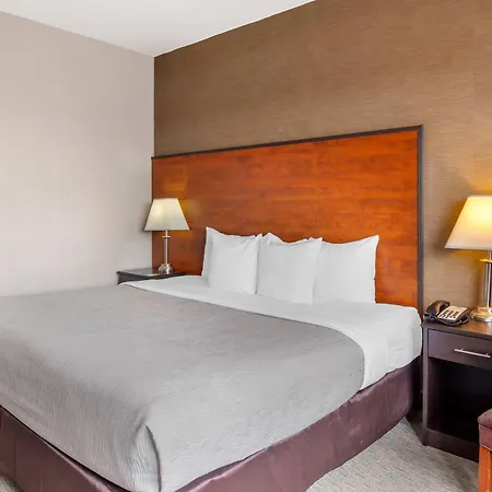Quality Inn Toronto Airport-3