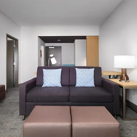 Hilton Garden Inn Orlando I-4 Millenia Blvd Mall-2