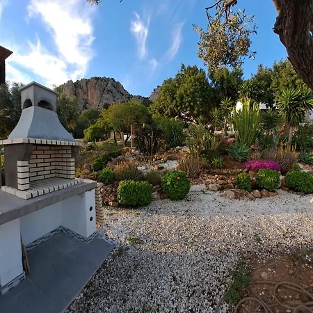 Olive Branch El Chorro-2