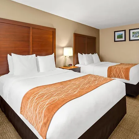 Comfort Inn & Suites Beaverton - Portland West-3