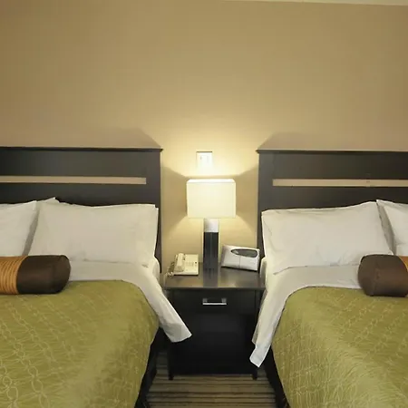 Best Western Plus Mont-Laurier-3