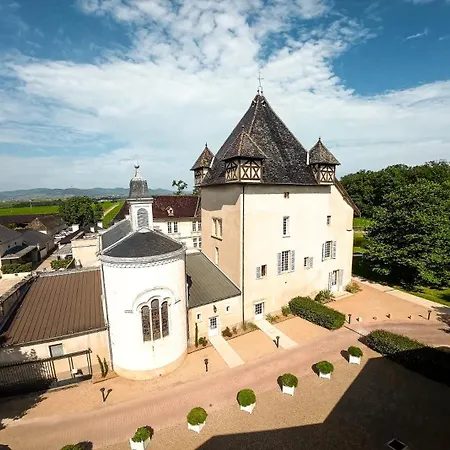 Chateau De Pizay-2