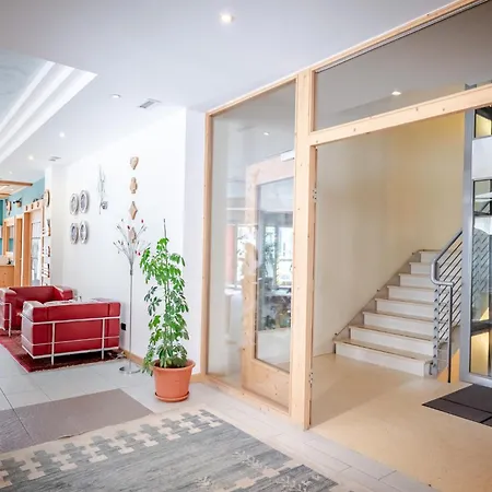 Hotel Alpine Mugon-2