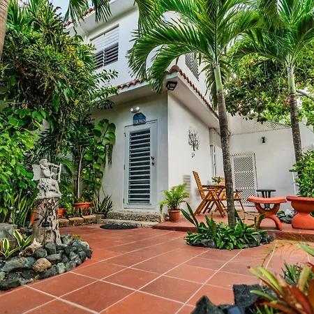 Coconut Palms Rincon-2