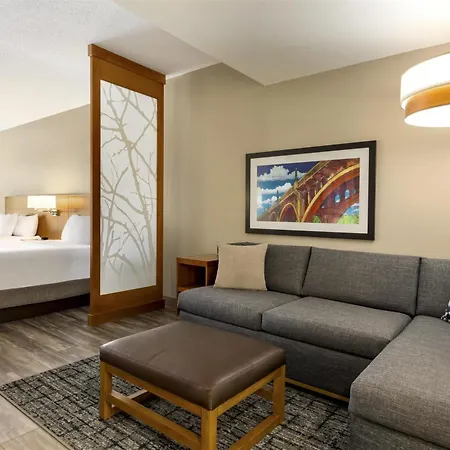 Hyatt Place Columbia/Downtown/The Vista-2
