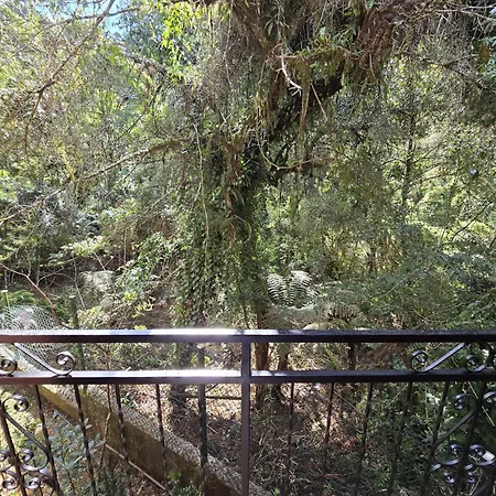 Pousada Serras De Monte Verde-2