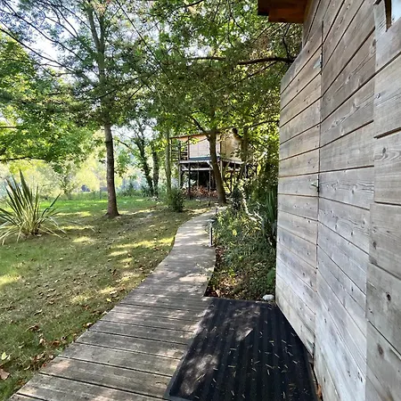 Cabane Dans Les Arbres Avec Bain Nordique-3