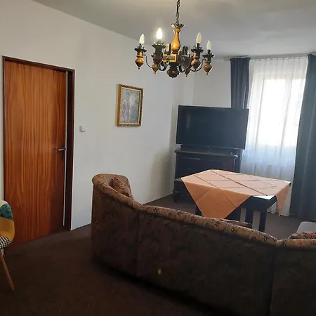 Hotel Zlata Labut-3
