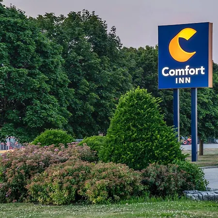 Comfort Inn Chatham-3
