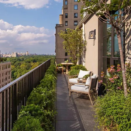 1 Hotel Central Park-3
