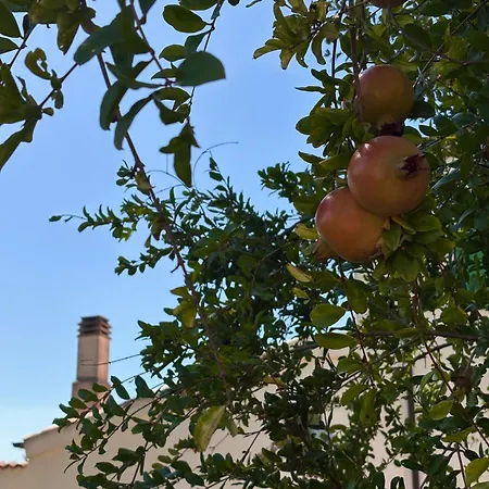 Hotel Masseria Marziale-3