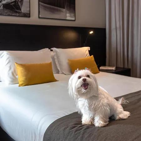 I Am Design Hotel Campinas By Hotelaria Brasil-2