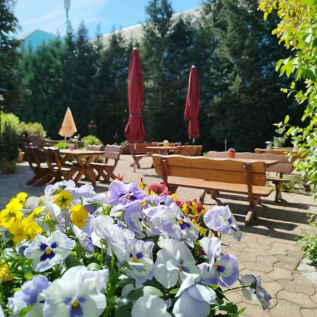 Café und Hotel Zum Grünen Baum-2