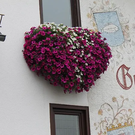 Landgasthof Hotel Zur Linde im Taunus-3