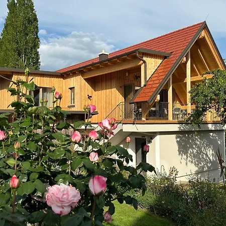 Weinquartier - Weinrebenblick Kleindienst-3
