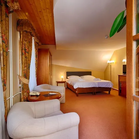 Hotel Concertino Zlata Husa-2