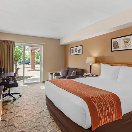 Comfort Inn-3