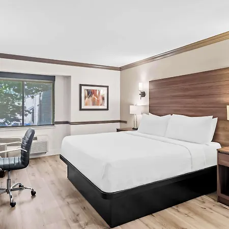 Best Western Maple Ridge-2