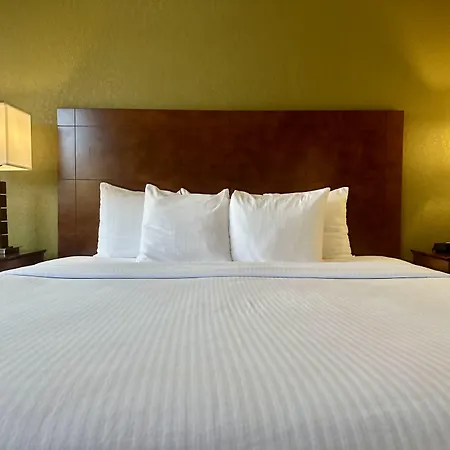 Best Western Executive Inn Kenosha - Pleasant Prairie-3