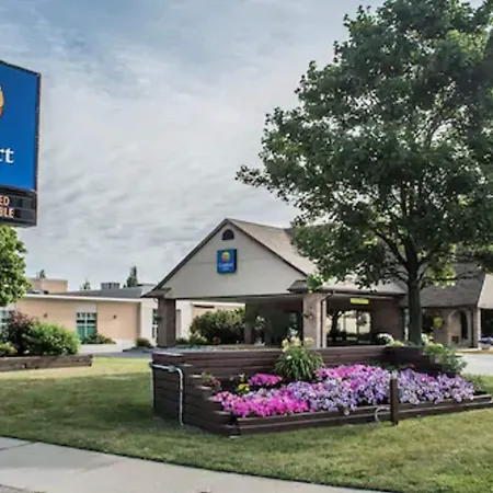 Comfort Inn London - Wellington Road-3