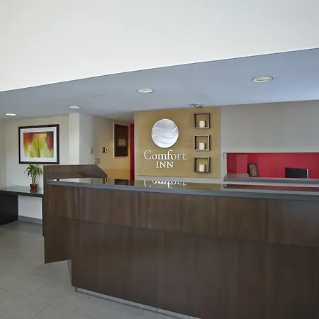 Comfort Inn Airport-2
