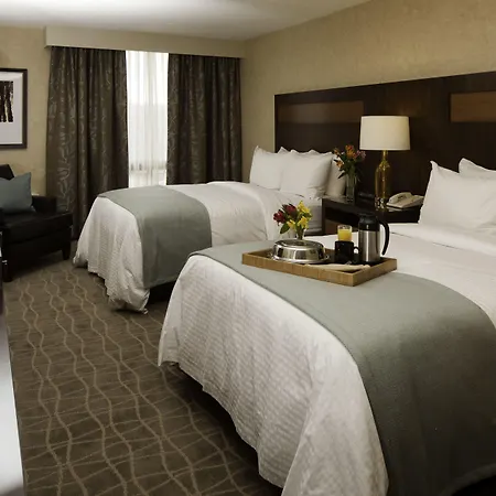 Doubletree By Hilton Pittsburgh-Green Tree-3