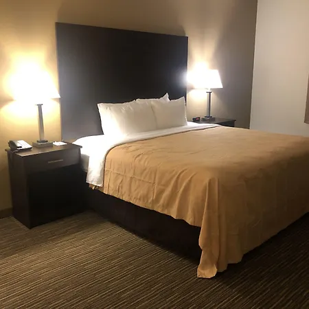 Quality Inn & Suites Paragould-3