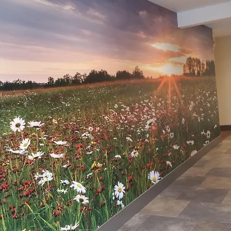 Quality Inn & Suites Detroit Lakes-3