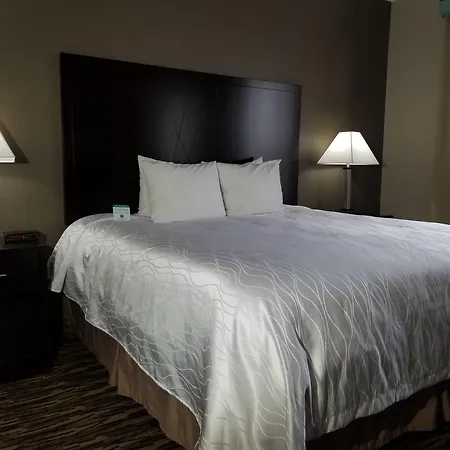 Comfort Suites Plano East - Richardson-2