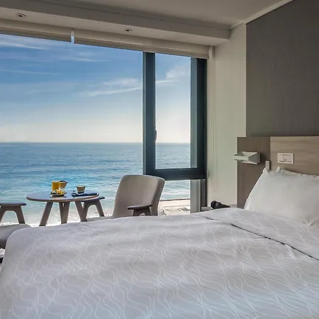 Pullman Vina del Mar San Martin-3