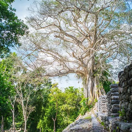 The Explorean Selva Maya Kohunlich-3