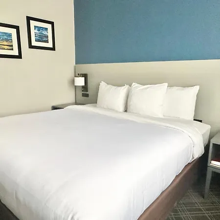 Comfort Inn & Suites Cartersville - Emerson Lake Point-3