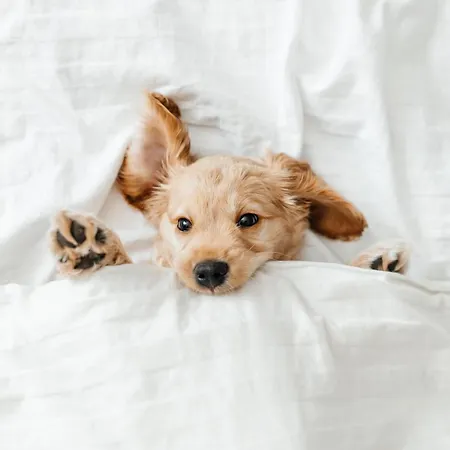Pestana Porto - A Brasileira, City Center & Heritage Building-2