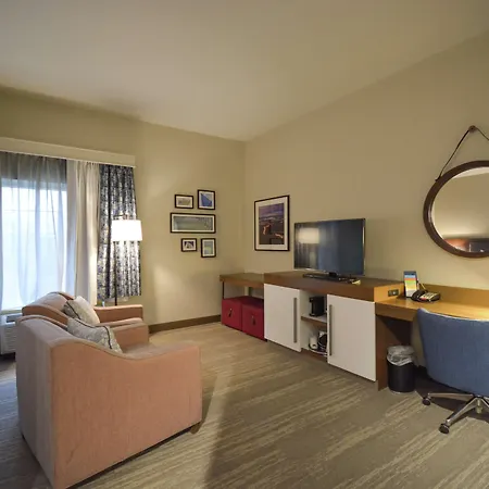 Hampton Inn Salem East - Electric Road-2