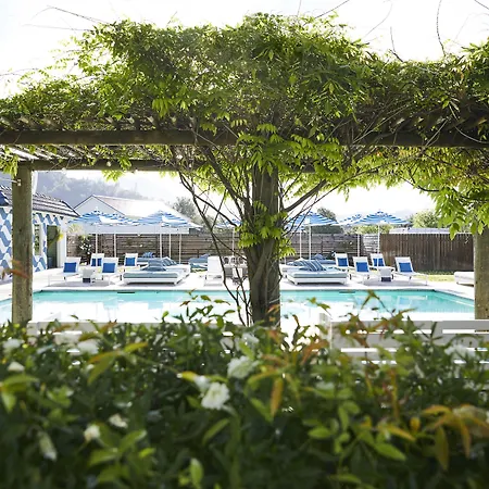 Calistoga Motor Lodge And Spa-2