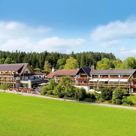 Hotel Gruener Wald-2
