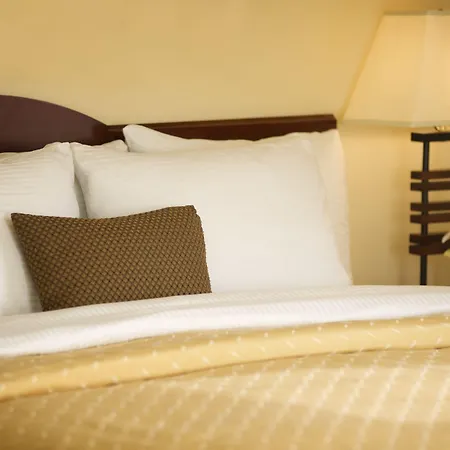 Larkspur Landing Extended Stay Suites Sacramento-3