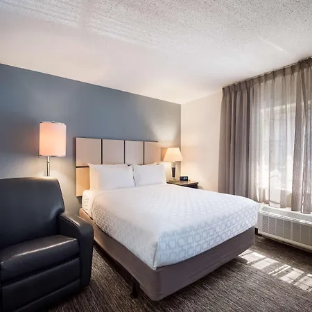 Sonesta Simply Suites Detroit Warren-3