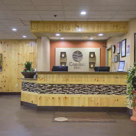 Comfort Inn Asheville Airport-3
