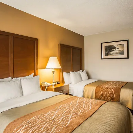 Comfort Inn Asheville Airport-2