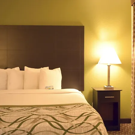 Baymont By Wyndham Holland-3