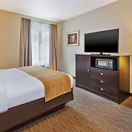 Comfort Inn Whitehall Near Michigan'S Adventure-3