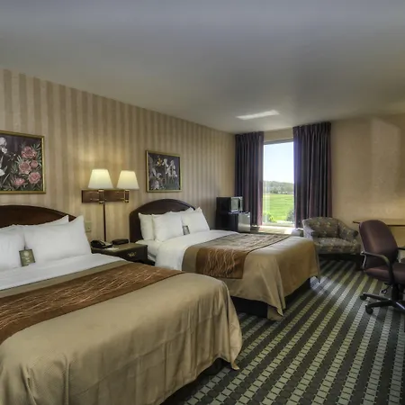 Comfort Inn Airport-3