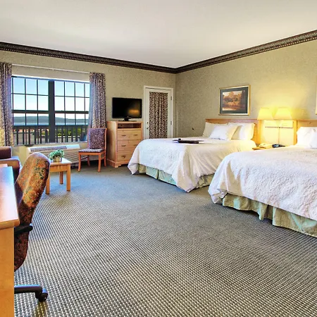 Hampton Inn & Suites Petoskey-3