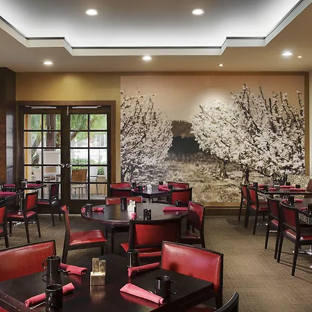 Juniper Hotel Cupertino, Curio Collection By Hilton-2