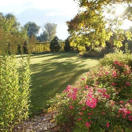 Landhotel Wachau - Bed And Breakfast-3