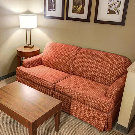 Comfort Suites Gadsden Attalla-3