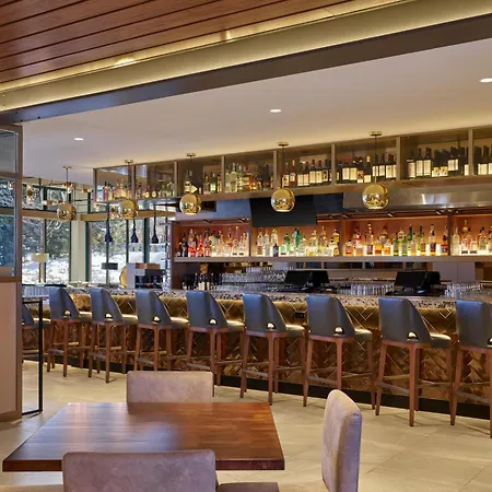 Limelight Hotel Aspen-2