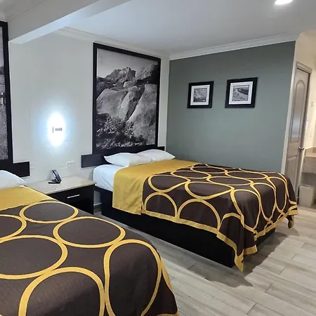 Super 8 By Wyndham Mcallen-Downtown-Airport-La Plaza Mall-2