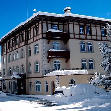 Soldanella-2